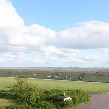 Heringsmoewe, Haus An Den Salzwiesen, * Baltrum